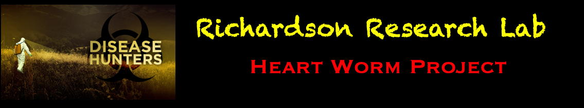 Header Heart worm