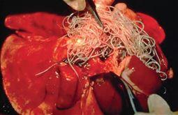 original_2014050616581262pq1k